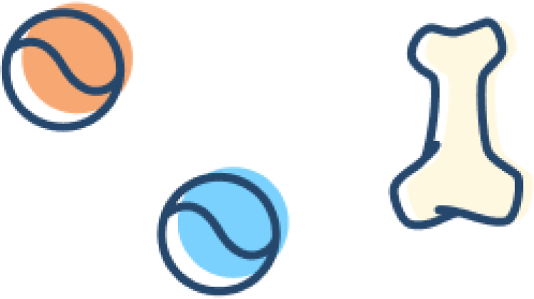 pet-trainer-illustration-13@3x fostering/ accueil temporaire