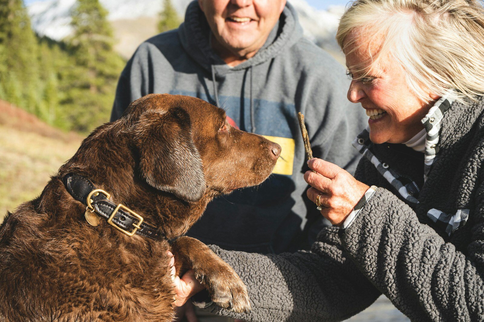 Photo by Chewy man in black jacket holding brown short coated dog